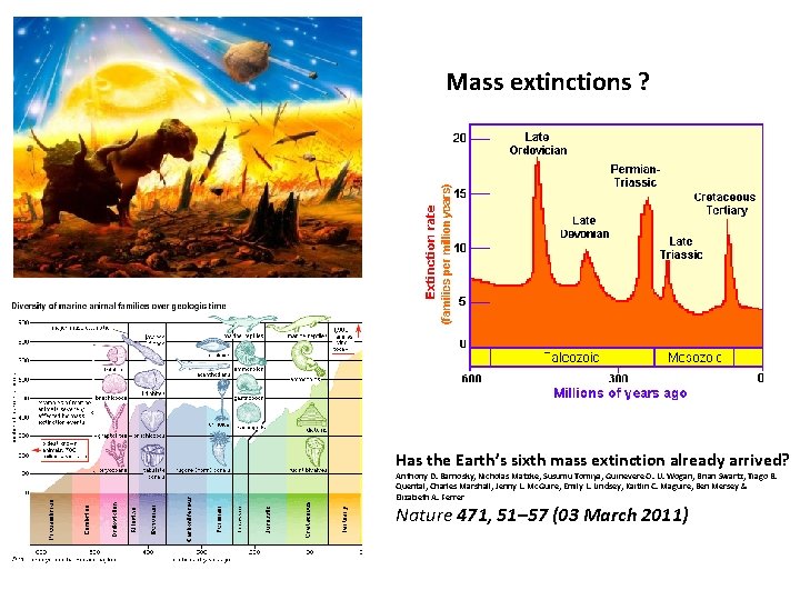 Mass extinctions ? Has the Earth’s sixth mass extinction already arrived? Anthony D. Barnosky,