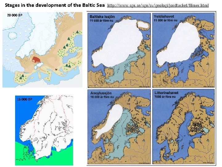 Stages in the development of the Baltic Sea 20 000 BP 16 000 BP