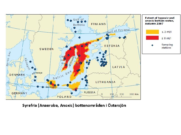 Syrefria (Anaeroba, Anoxic) bottenområden i Östersjön 