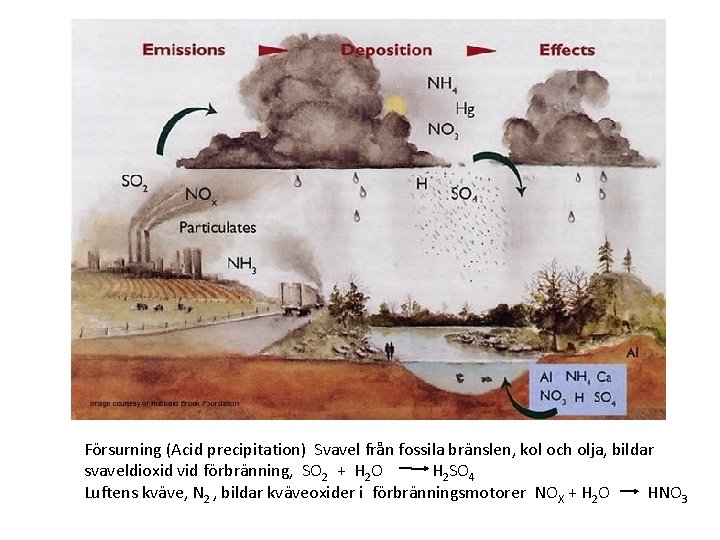 Försurning (Acid precipitation) Svavel från fossila bränslen, kol och olja, bildar svaveldioxid vid förbränning,