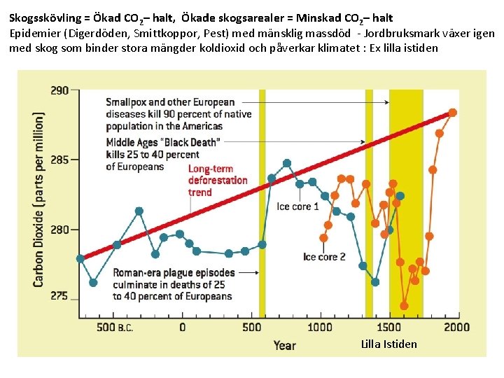 Skogsskövling = Ökad CO 2– halt, Ökade skogsarealer = Minskad CO 2– halt Epidemier