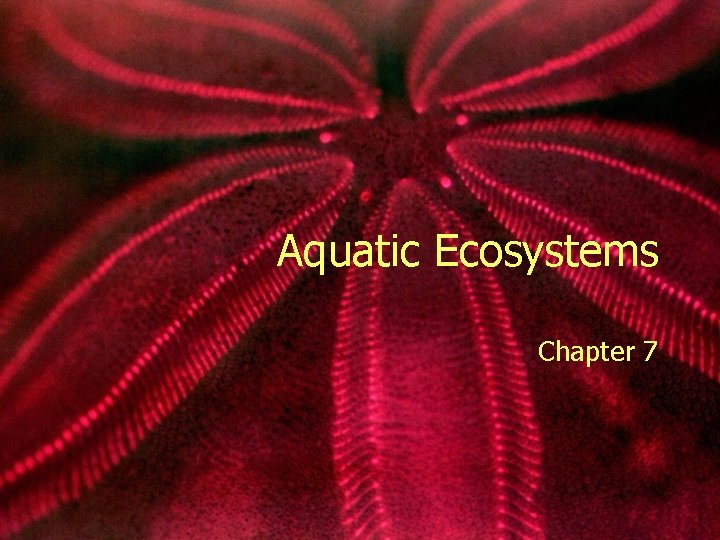 Aquatic Ecosystems Chapter 7 