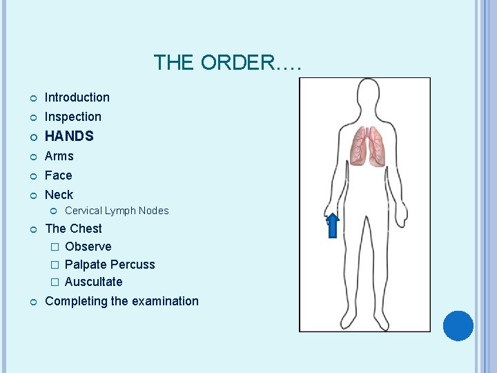 THE ORDER…. Introduction Inspection HANDS Arms Face Neck Cervical Lymph Nodes The Chest �