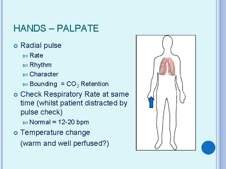 HANDS – PALPATE Radial pulse Rate Rhythm Character Bounding Check Respiratory Rate at same