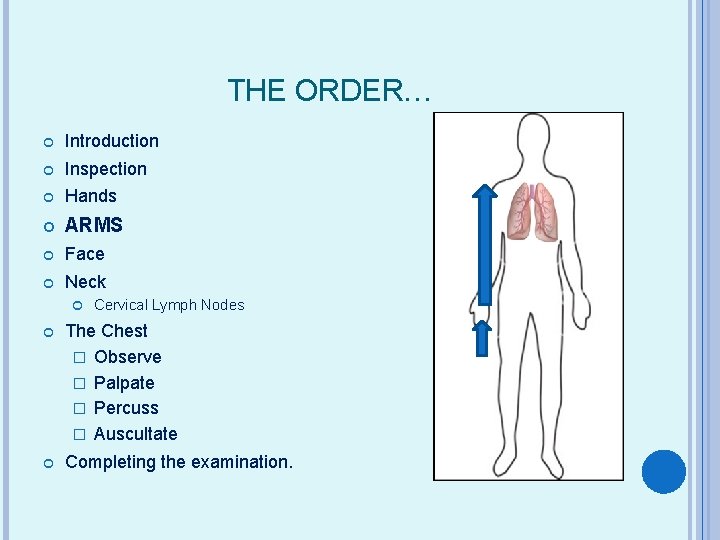 THE ORDER… Introduction Inspection Hands ARMS Face Neck Cervical Lymph Nodes The Chest �