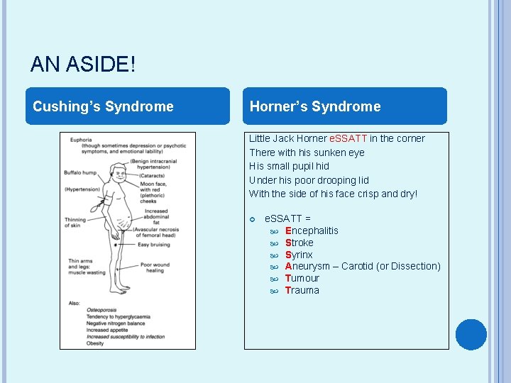 AN ASIDE! Cushing’s Syndrome Horner’s Syndrome Little Jack Horner e. SSATT in the corner