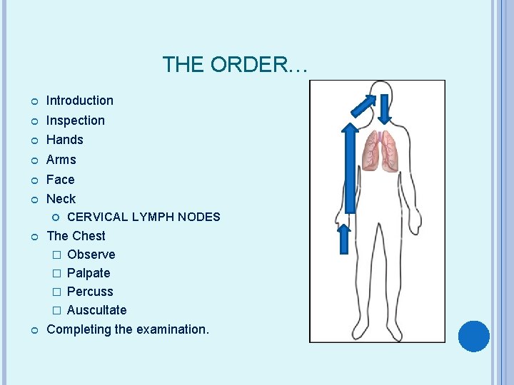 THE ORDER… Introduction Inspection Hands Arms Face Neck CERVICAL LYMPH NODES The Chest �