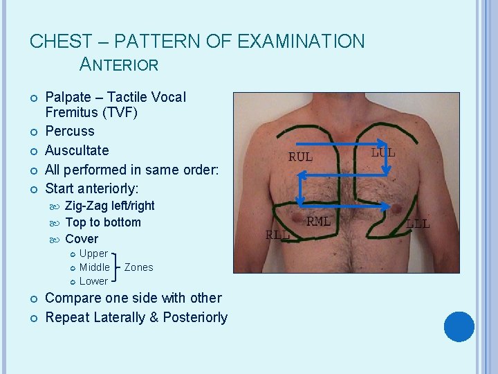 CHEST – PATTERN OF EXAMINATION ANTERIOR Palpate – Tactile Vocal Fremitus (TVF) Percuss Auscultate