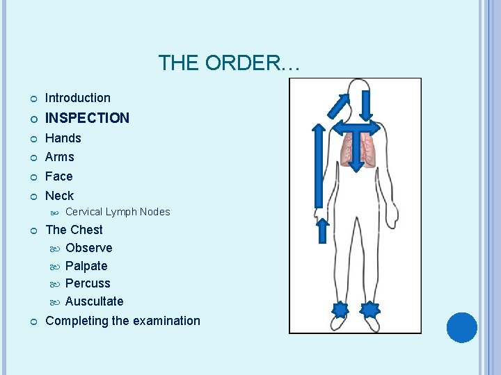 THE ORDER… Introduction INSPECTION Hands Arms Face Neck Cervical Lymph Nodes The Chest Observe