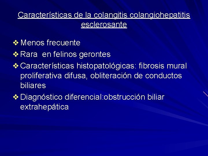 Características de la colangitis colangiohepatitis esclerosante v Menos frecuente v Rara en felinos gerontes