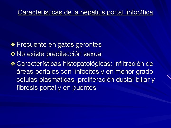 Características de la hepatitis portal linfocítica v Frecuente en gatos gerontes v No existe