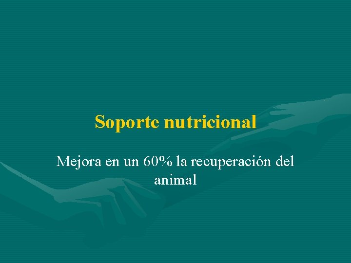 Soporte nutricional Mejora en un 60% la recuperación del animal 