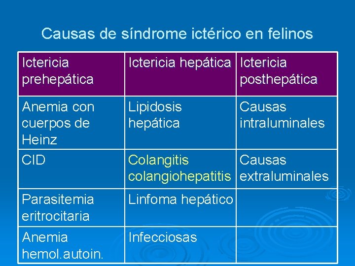 Causas de síndrome ictérico en felinos Ictericia prehepática Ictericia posthepática Anemia con cuerpos de