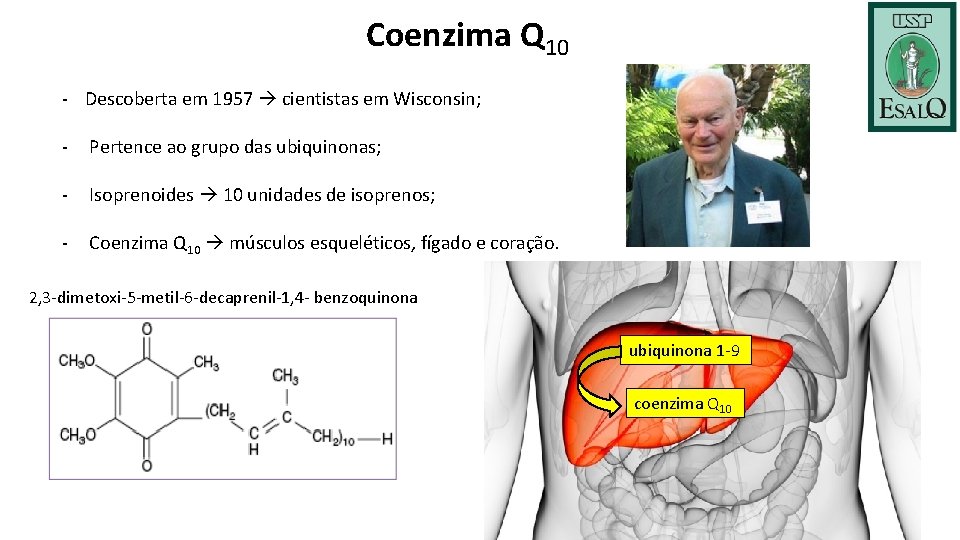Coenzima Q 10 - Descoberta em 1957 cientistas em Wisconsin; - Pertence ao grupo