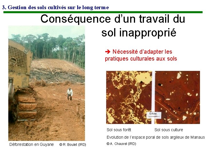 La gestion durable des sols un enjeu plantaire