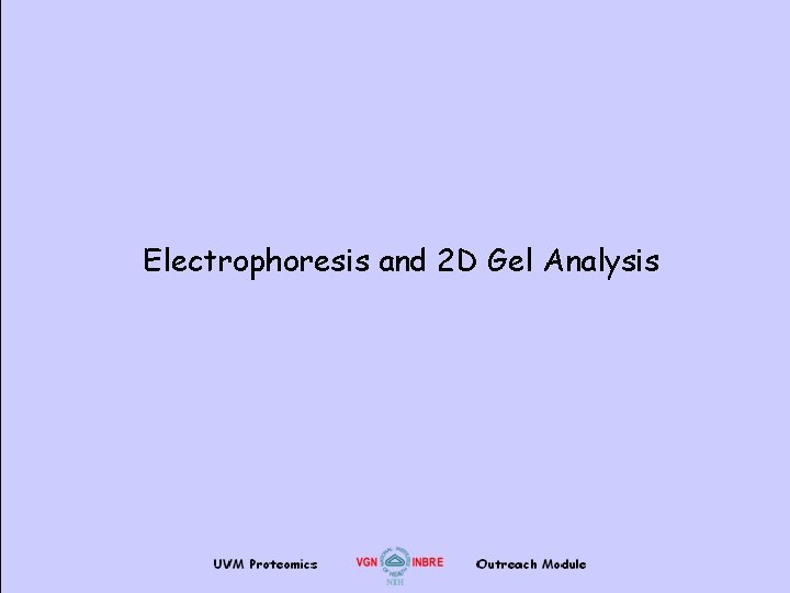 Electrophoresis and 2 D Gel Analysis 