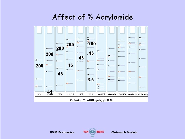 Affect of % Acrylamide 200 200 45 45 45 200 45 6. 5 45