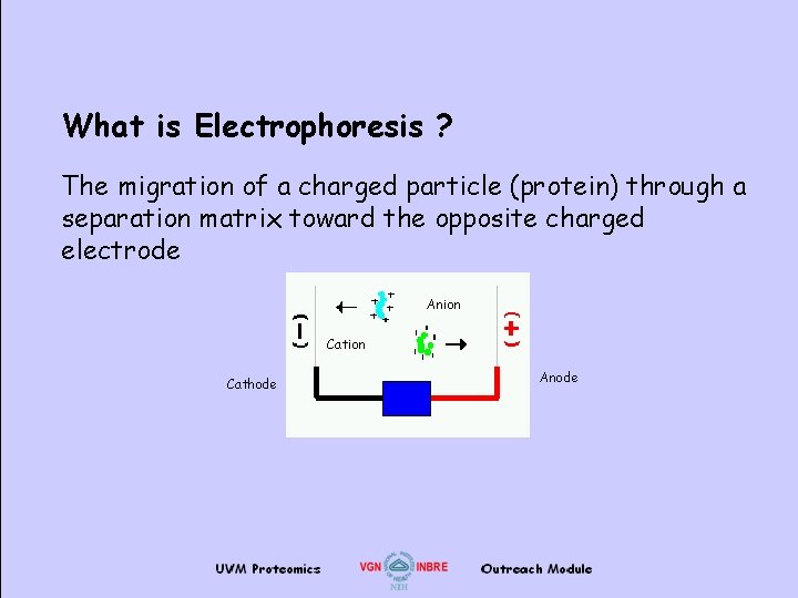 What is Electrophoresis ? The migration of a charged particle (protein) through a separation