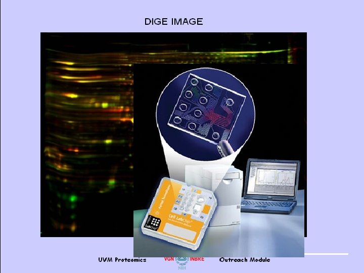 Types of Electrophoresis 1 D Gel Electrophoresis- DNA, RNA, and Protein Agarose –low resolution,