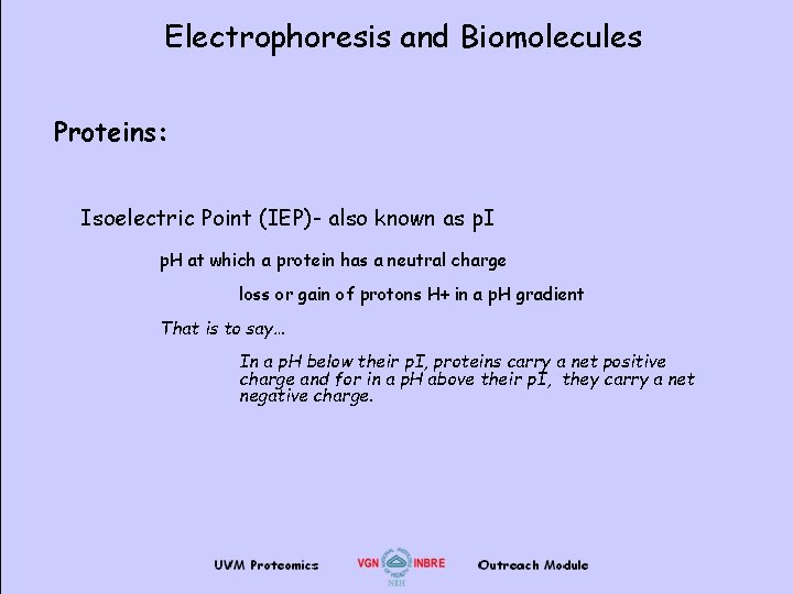 Electrophoresis and Biomolecules Proteins: Isoelectric Point (IEP)- also known as p. I p. H