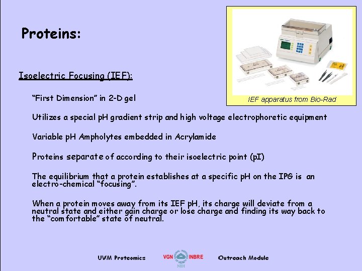 Proteins: Isoelectric Focusing (IEF): “First Dimension” in 2 -D gel IEF apparatus from Bio-Rad