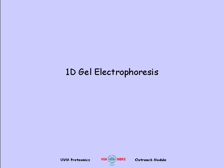 1 D Gel Electrophoresis 