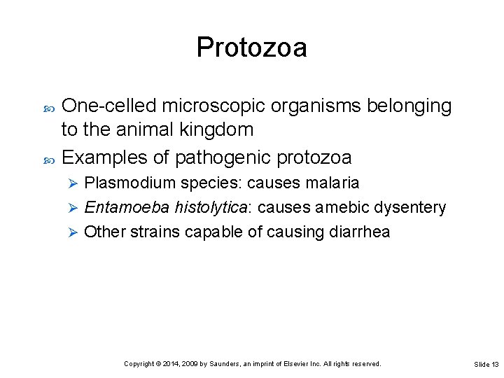 Protozoa One-celled microscopic organisms belonging to the animal kingdom Examples of pathogenic protozoa Plasmodium
