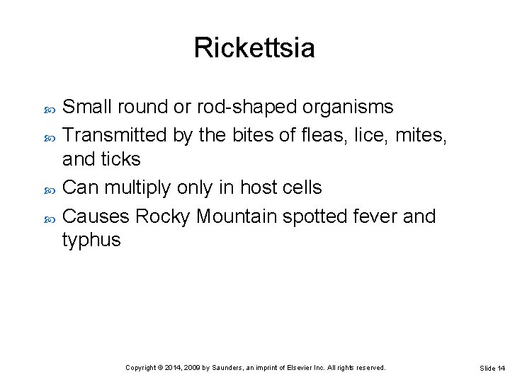 Rickettsia Small round or rod-shaped organisms Transmitted by the bites of fleas, lice, mites,