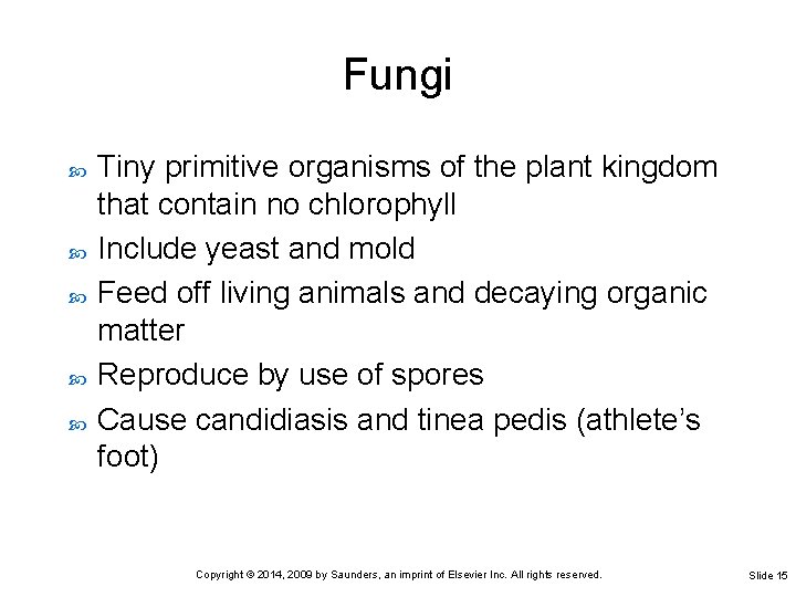 Fungi Tiny primitive organisms of the plant kingdom that contain no chlorophyll Include yeast