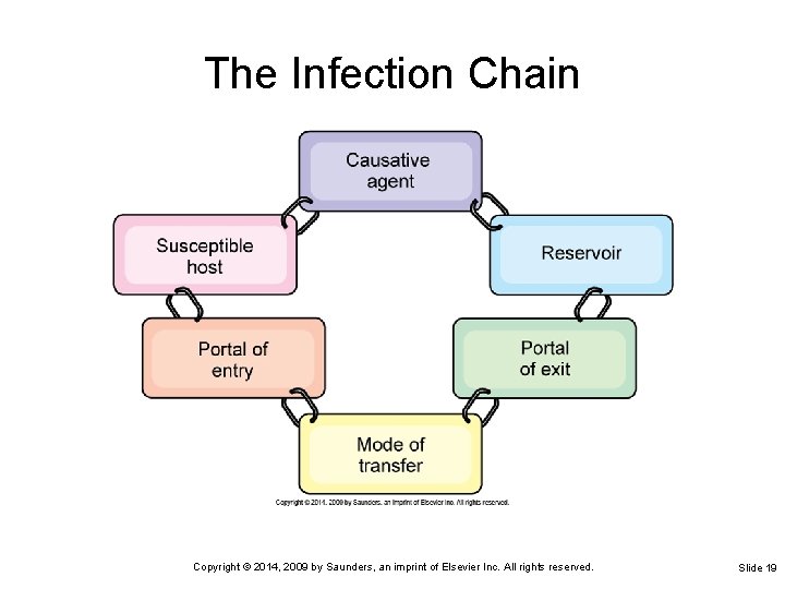 The Infection Chain Copyright © 2014, 2009 by Saunders, an imprint of Elsevier Inc.