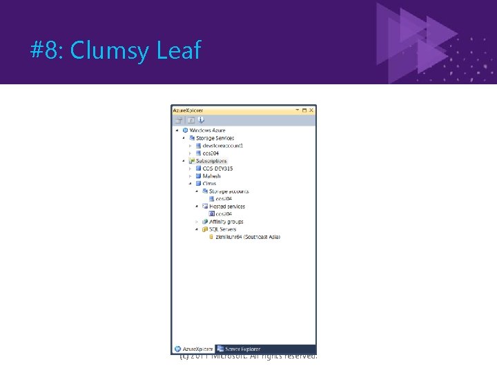 #8: Clumsy Leaf (c) 2011 Microsoft. All rights reserved. 