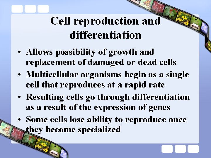 Cell reproduction and differentiation • Allows possibility of growth and replacement of damaged or