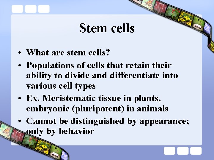 Stem cells • What are stem cells? • Populations of cells that retain their