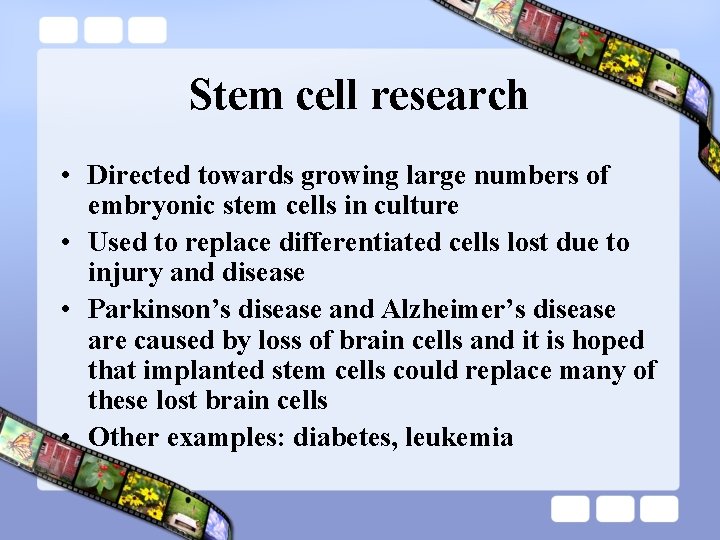 Stem cell research • Directed towards growing large numbers of embryonic stem cells in