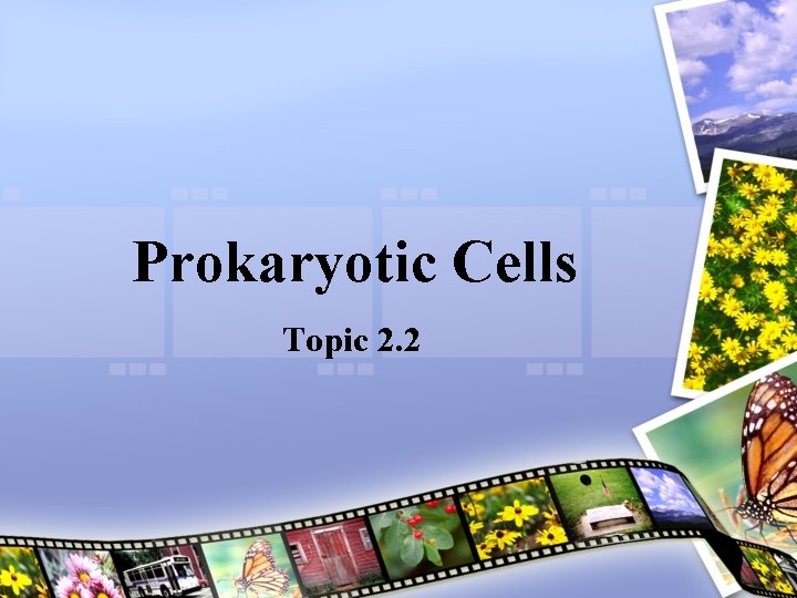 Prokaryotic Cells Topic 2. 2 