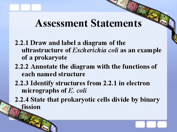 Assessment Statements 2. 2. 1 Draw and label a diagram of the ultrastructure of
