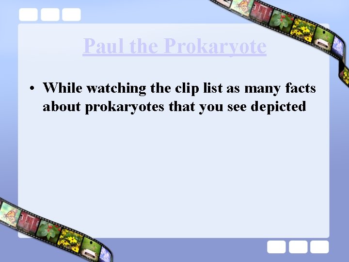 Paul the Prokaryote • While watching the clip list as many facts about prokaryotes