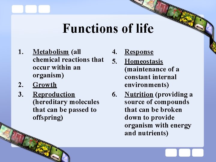 Functions of life 1. 2. 3. Metabolism (all 4. Response chemical reactions that 5.