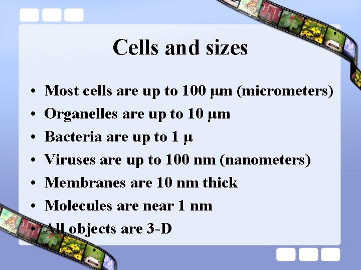 Cells and sizes • • Most cells are up to 100 μm (micrometers) Organelles