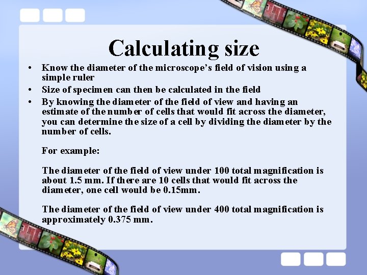 Calculating size • Know the diameter of the microscope’s field of vision using a