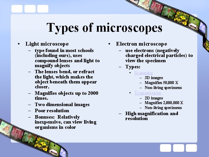Types of microscopes • Light microscope – type found in most schools (including ours),