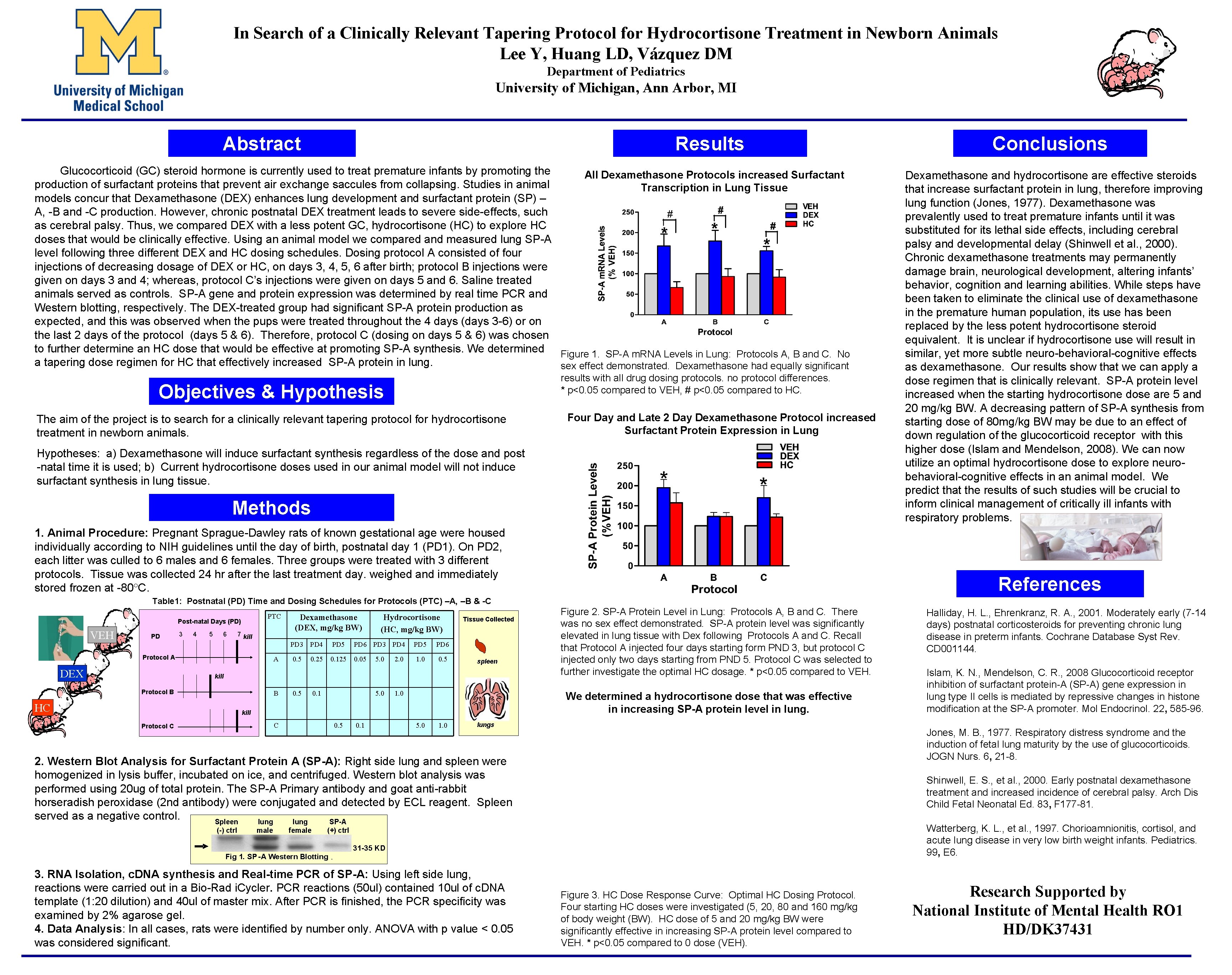 In Search of a Clinically Relevant Tapering Protocol for Hydrocortisone Treatment in Newborn Animals