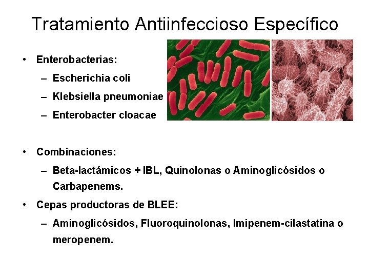 Tratamiento Antiinfeccioso Específico • Enterobacterias: – Escherichia coli – Klebsiella pneumoniae – Enterobacter cloacae