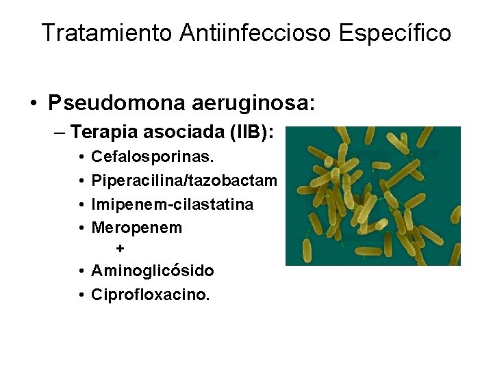 Tratamiento Antiinfeccioso Específico • Pseudomona aeruginosa: – Terapia asociada (IIB): • • Cefalosporinas. Piperacilina/tazobactam