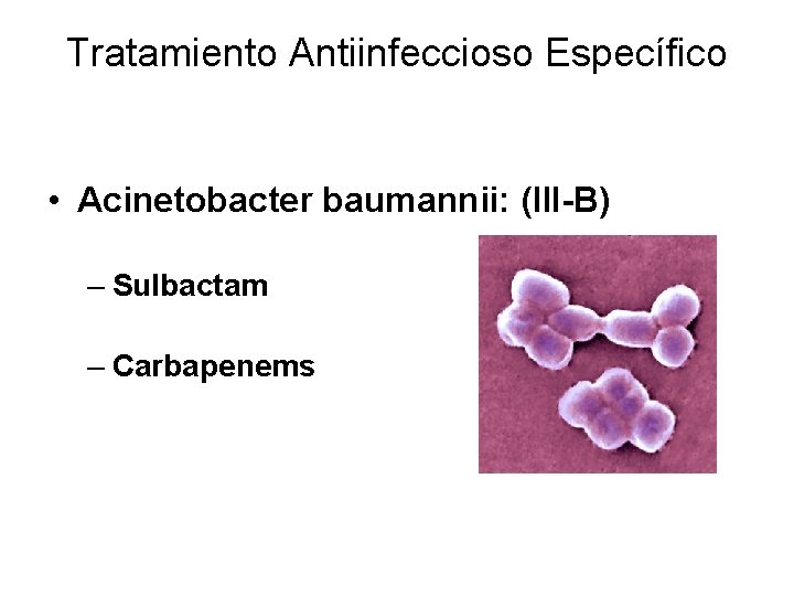 Tratamiento Antiinfeccioso Específico • Acinetobacter baumannii: (III-B) – Sulbactam – Carbapenems 