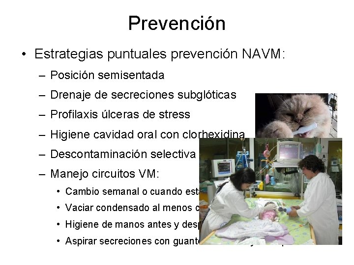 Prevención • Estrategias puntuales prevención NAVM: – Posición semisentada – Drenaje de secreciones subglóticas
