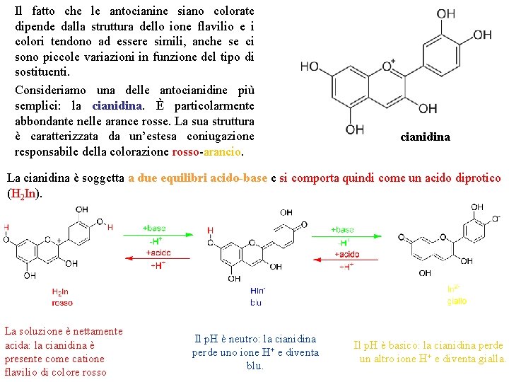 Il fatto che le antocianine siano colorate dipende dalla struttura dello ione flavilio e