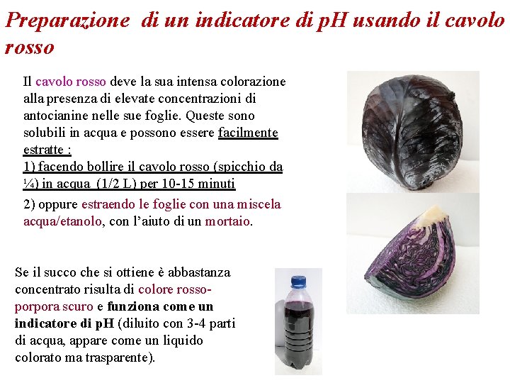 Preparazione di un indicatore di p. H usando il cavolo rosso Il cavolo rosso