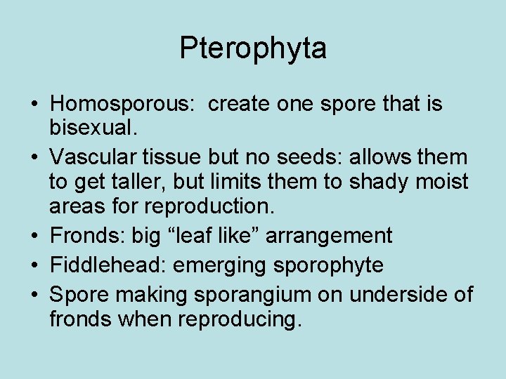 Pterophyta • Homosporous: create one spore that is bisexual. • Vascular tissue but no