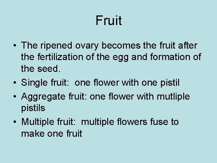 Fruit • The ripened ovary becomes the fruit after the fertilization of the egg